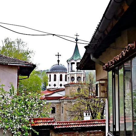 тренди ин 3* Велико Търново